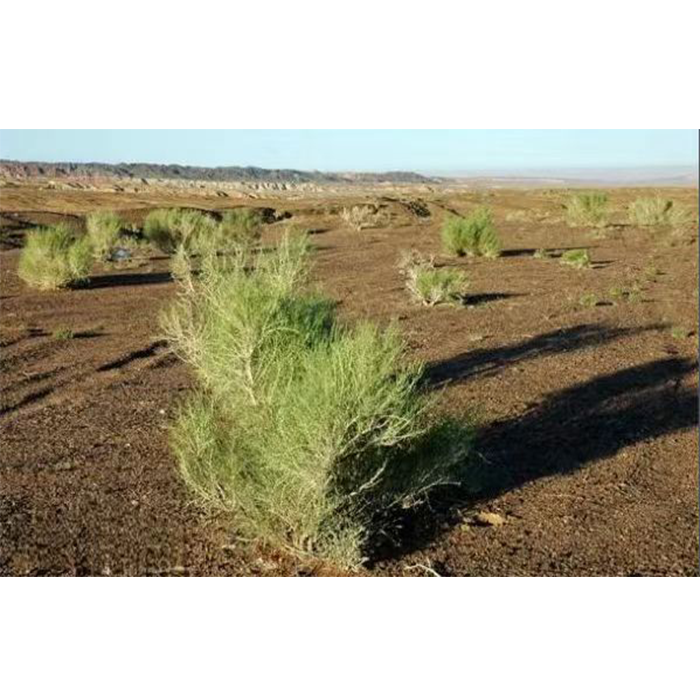 1710816483601766