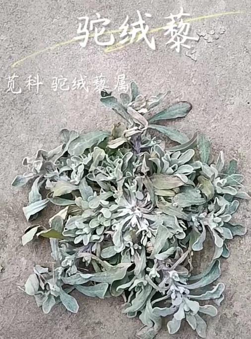 1710828312899590
