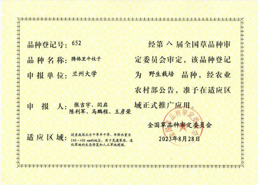 2a00445faa2454c0d671f12185dff774.png